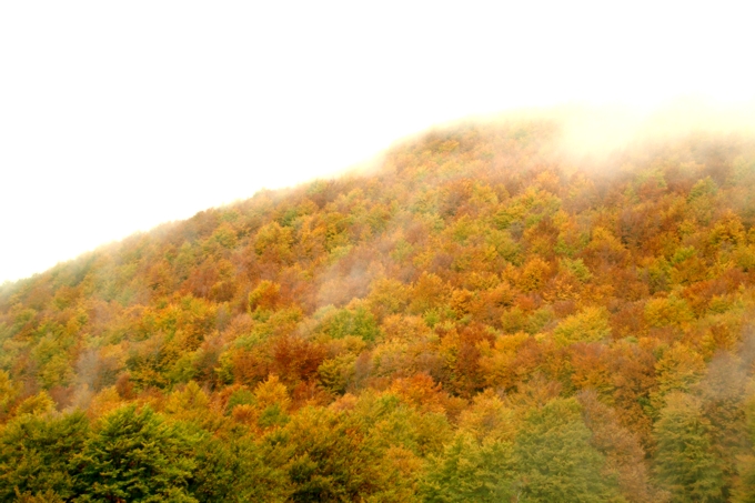 i colori di Guarcino